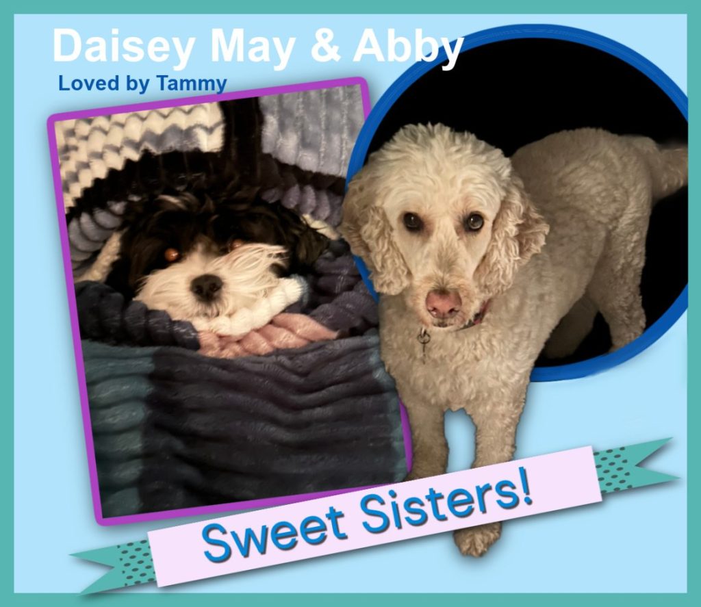 Daisey May & Abby