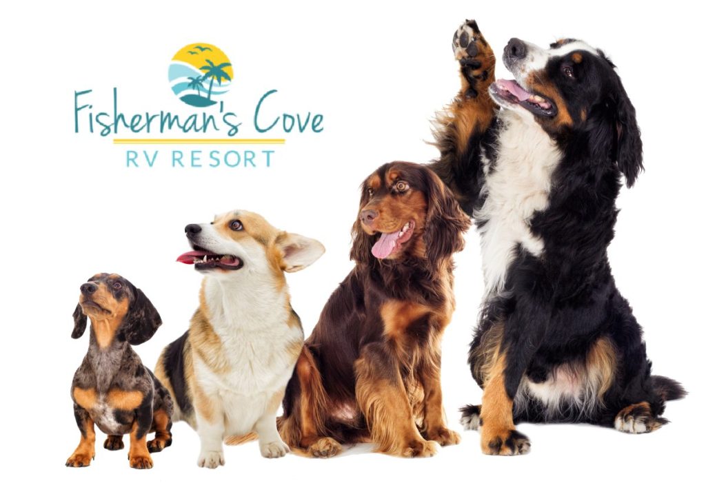 Fisherman's Cove Waterfront Resort is a pet friendly community located near Tampa Bay, FL