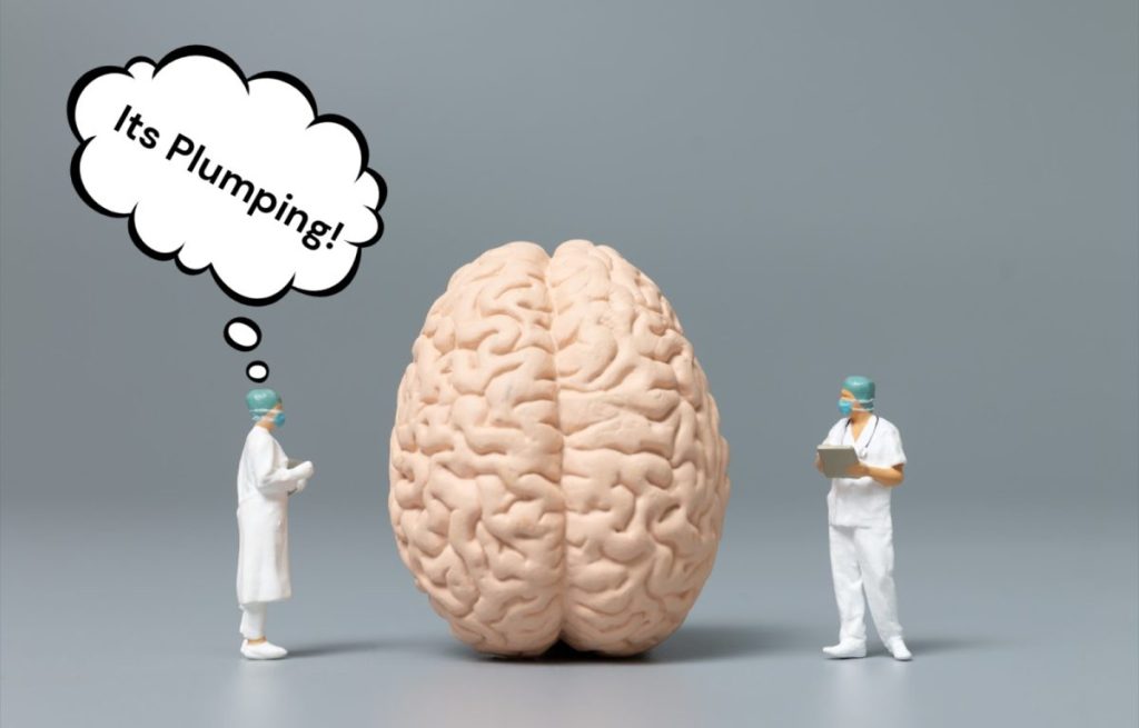 Two scientists doing research on meditation and the brain.