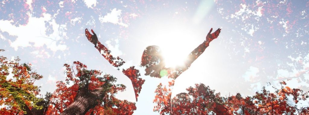 the place where joy resides is the present